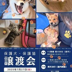 保護犬・保護猫譲渡会《7月》
