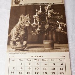 イギリス ヴィンテージ CAT LOVERS CALENDAR 1952年物の画像