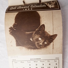 イギリス ヴィンテージ CAT LOVERS CALENDAR 1953年物の画像