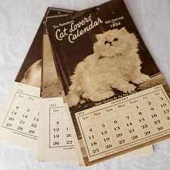 イギリス ヴィンテージ CAT LOVERS CALENDAR 1953年物の画像