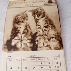 イギリス ヴィンテージ CAT LOVERS CALENDAR 1954年物の画像