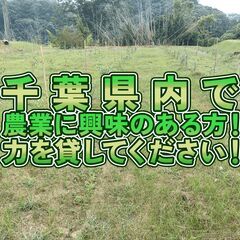 【農作業を通して地域創生】10名募集！サス農おこし隊 草刈…