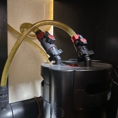 水槽セットの画像