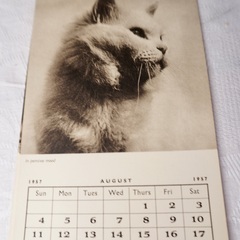 イギリス ヴィンテージ CAT LOVERS CALENDAR 1957年物の画像