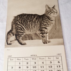 イギリス ヴィンテージ CAT LOVERS CALENDAR 1957年物の画像