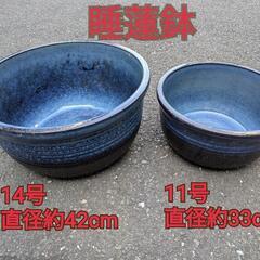 睡蓮鉢　2鉢（11号と14号）の画像