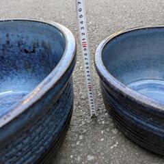 睡蓮鉢　2鉢（11号と14号）の画像