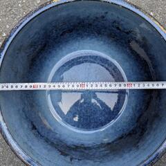 睡蓮鉢　2鉢（11号と14号）の画像