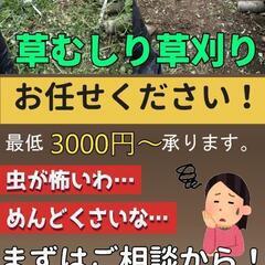 草刈り　草むしり　樹木伐採　ゴミ掃除　便利屋　