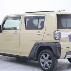タフトくんの登場です📣の画像