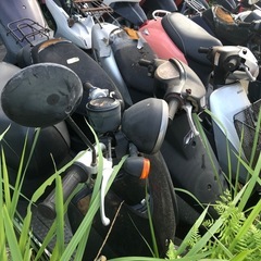 原付の画像
