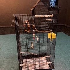 大型鳥籠鳥かごゲージインコオウム文鳥エサおまけの画像