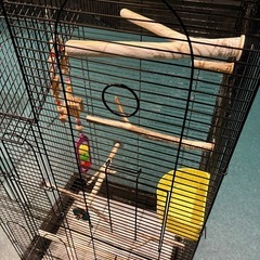 大型鳥籠鳥かごゲージインコオウム文鳥エサおまけの画像