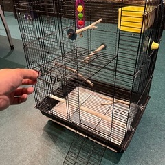 大型鳥籠鳥かごゲージインコオウム文鳥エサおまけの画像