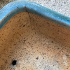 盆栽鉢の画像