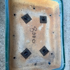 盆栽鉢
