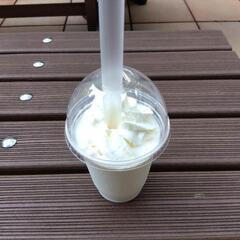 カフェ巡りメンバー✨募集しています！ご連絡ください☺️ - メンバー募集