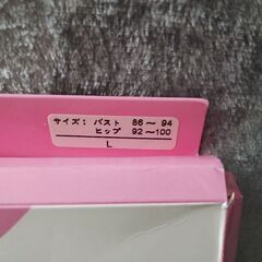 【値下げ】①ボディスーツの画像