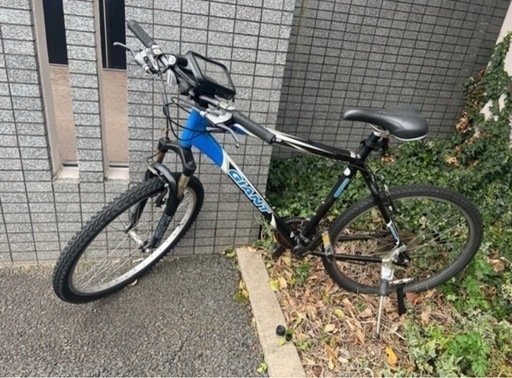 GIANT マウンテンバイク 自転車　バイク　大人用