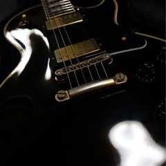 Orville by Gibson lespaul custom 1992の画像