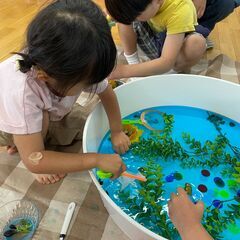センサリープレイを楽しもう！の画像