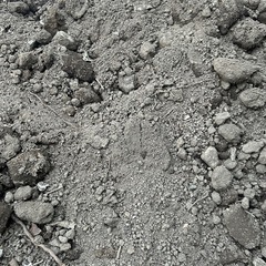 半分くらい残ってます！ 無料の土！埋立、花壇、家庭菜園などにの画像