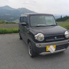 人気のハスラーの画像