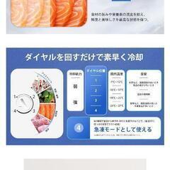 取引先確定【ほぼ新品】冷凍ストッカー 65リットルの画像