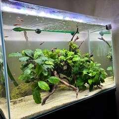 チャーミーキティ♡ハンディサイクロンクリーナー チャーミーキティ♡ハンディサイクロンクリーナー