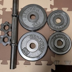 ヘラクレス クロームメッキ ダンベル 10kgの画像