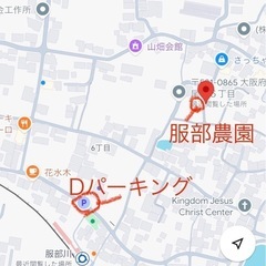 夏野菜の収穫体験イベント《無農薬有機農法》 - イベント