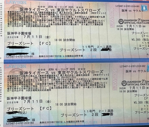 7月11日　阪神タイガース　ブリーズ2段目！