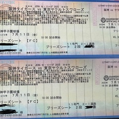 7月11日　阪神タイガース　ブリーズ2段目！