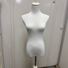 レディーストルソー　　　マネキンの画像