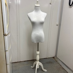 レディーストルソー　　　マネキンの画像