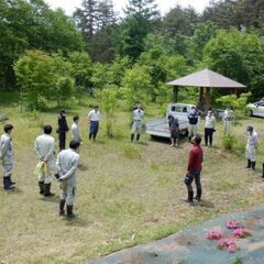 街路樹の剪定補助　枝拾いや公園整備などのお手づだい　日当11,000円〜日払いOKの画像