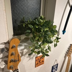 【造花】フェイクグリーン2点の画像