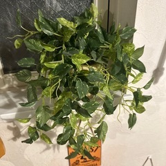 【造花】フェイクグリーン2点