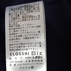 ブラウス(裏地付き)3Lの画像