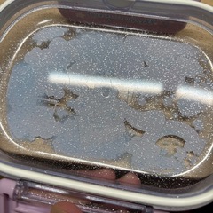 シナモロール　弁当箱の画像