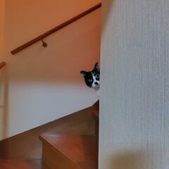 私と楽しく雑談して下さる同性の方