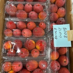 宮古島産or沖縄県産ミニマンゴー1パックの画像