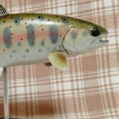 アユイング仲間募集