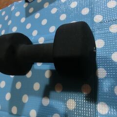 ダンベル　　７Ｋｇ　１個　綺麗です 値下げしました。の画像