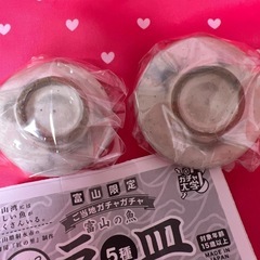 ホタルイカと白えび豆皿の画像