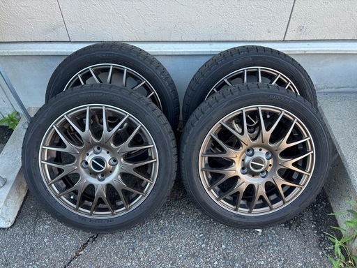 【取引完了】BIGWAY LEYSEEN PRAVA 15インチ メッシュ