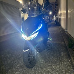 【美車】ＰＣＸＪＦ84 （ハイブリッド）の画像