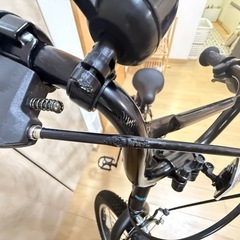 RIZE（自転車）の画像