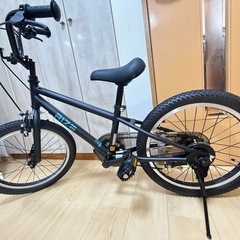 RIZE（自転車）の画像