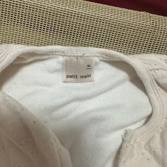 petitmain 60サイズの画像